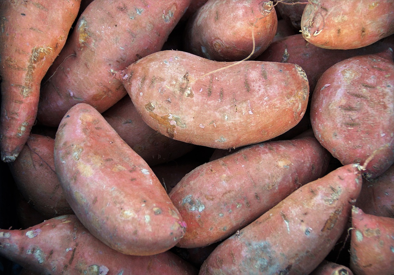 A bunch of raw, unpeeled sweet potatoes