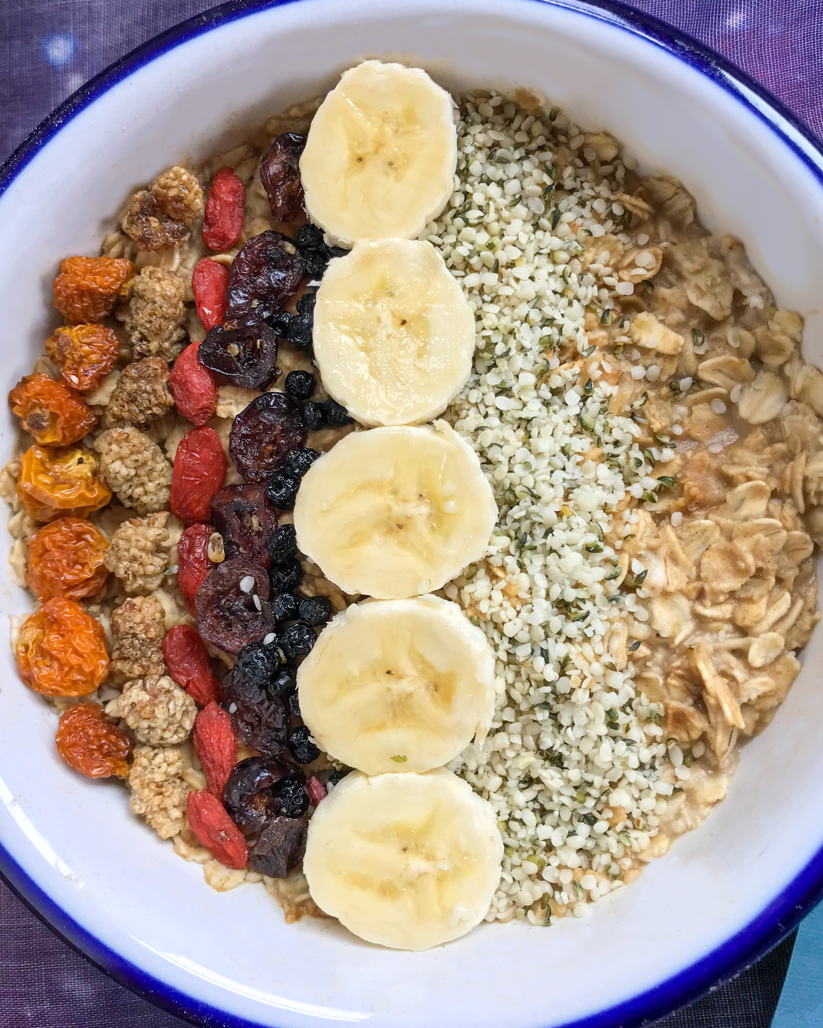 A bowl of oatmeal with dried fruit and hemp hearts arranged neatly in rows.
